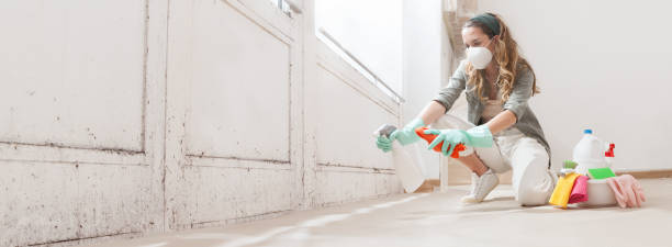 Best Black Mold Removal  in Whitwell, TN